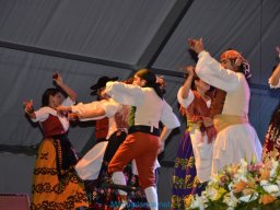 Festival de Folkore en Mula